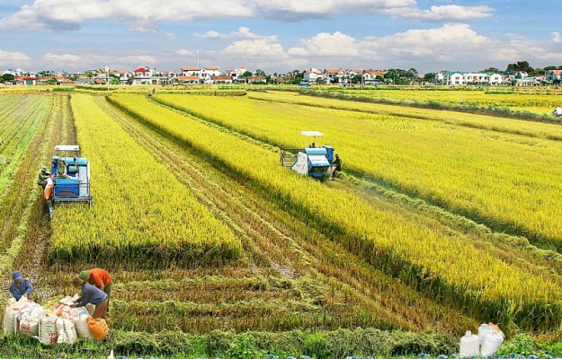 Tách sổ đỏ đất nông nghiệp 2025: Mất bao nhiêu chi phí?