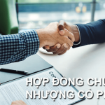 hop-dong-chuyen-nhuong-co-phan-chinh-xac