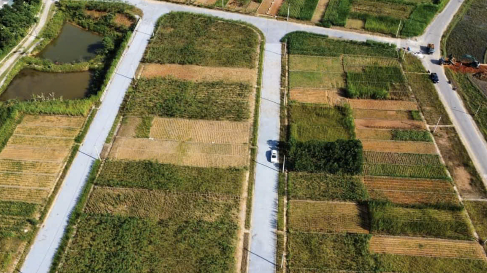 Tách thửa đất nông nghiệp