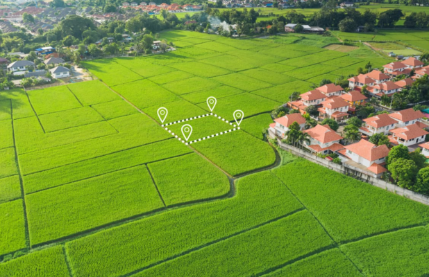 Trực tiếp sản xuất nông nghiệp