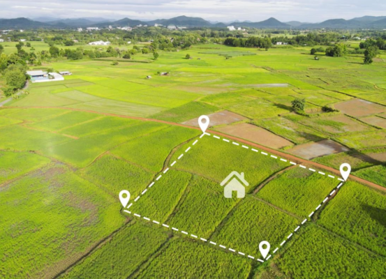 Trực tiếp sản xuất nông nghiệp